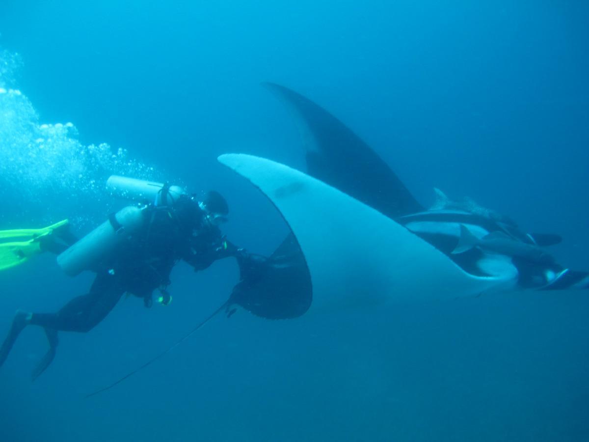 Mantaraya Lodge Puerto López Екстериор снимка